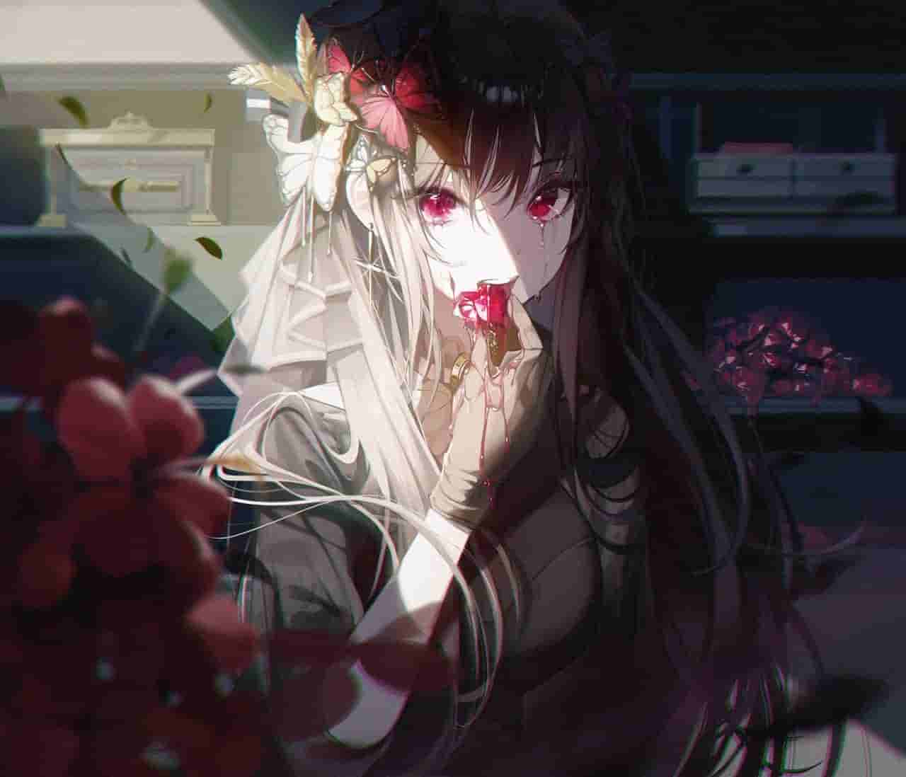 [ 2026.9.13 ] 小猫咪分享网 17个免费节点更新，Clash/V2ray/SSR/Mihomo订阅地址