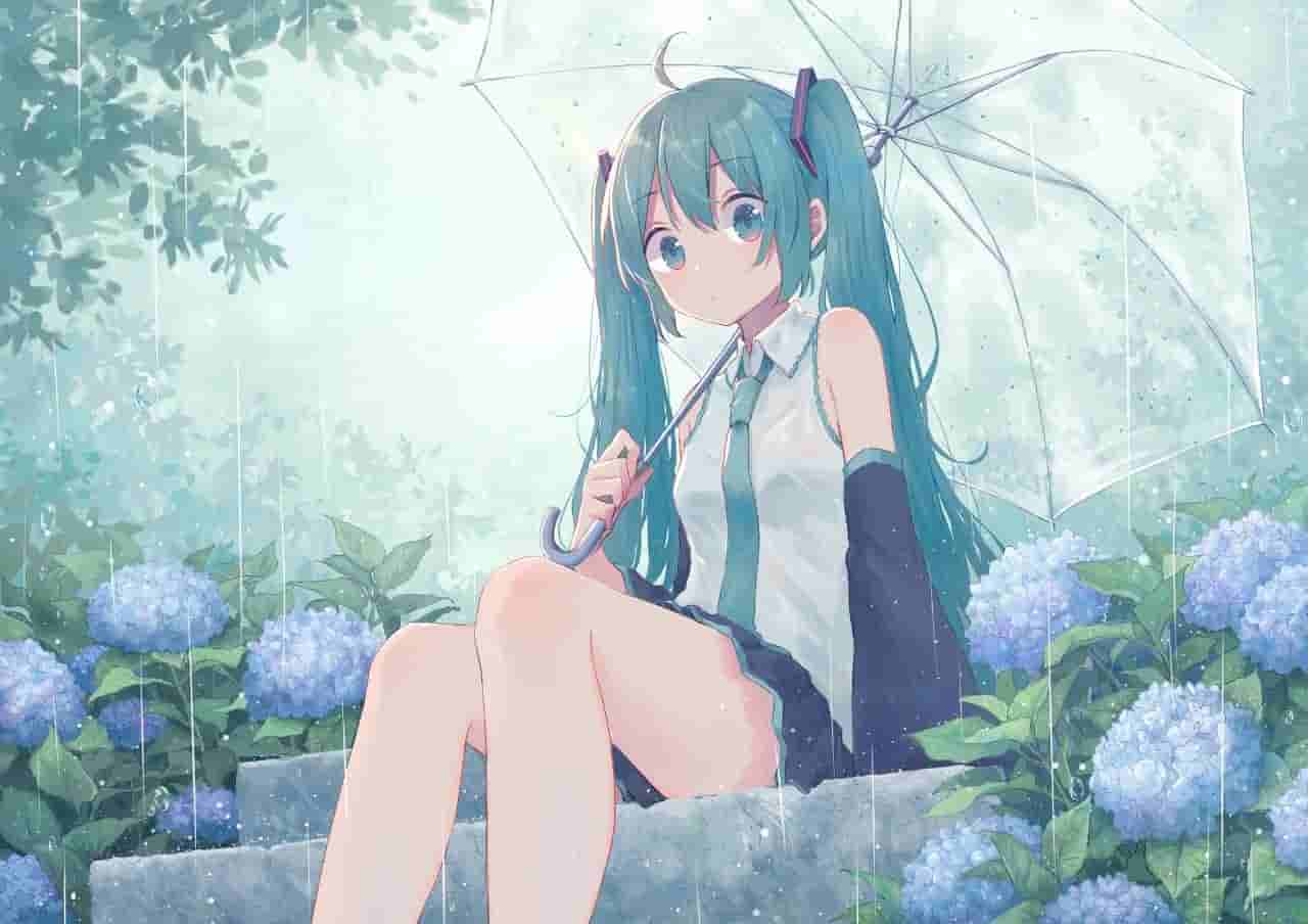 [ 2026.9.17 ] 小猫咪分享网 13个免费节点更新，Clash/V2ray/SSR/Mihomo订阅地址